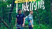 四年前看冬泳怪鸽时的不理解,四年后焦虑，抑郁爆发